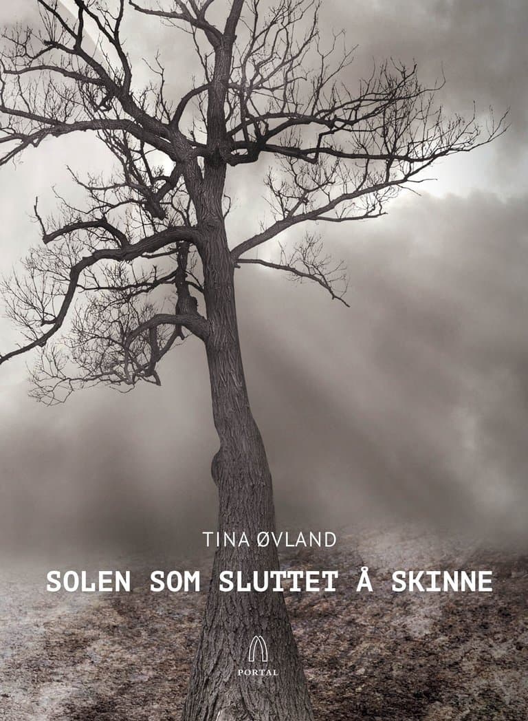 Omslag Solen som sluttet å skinne av Tina Øvland (Heftet)