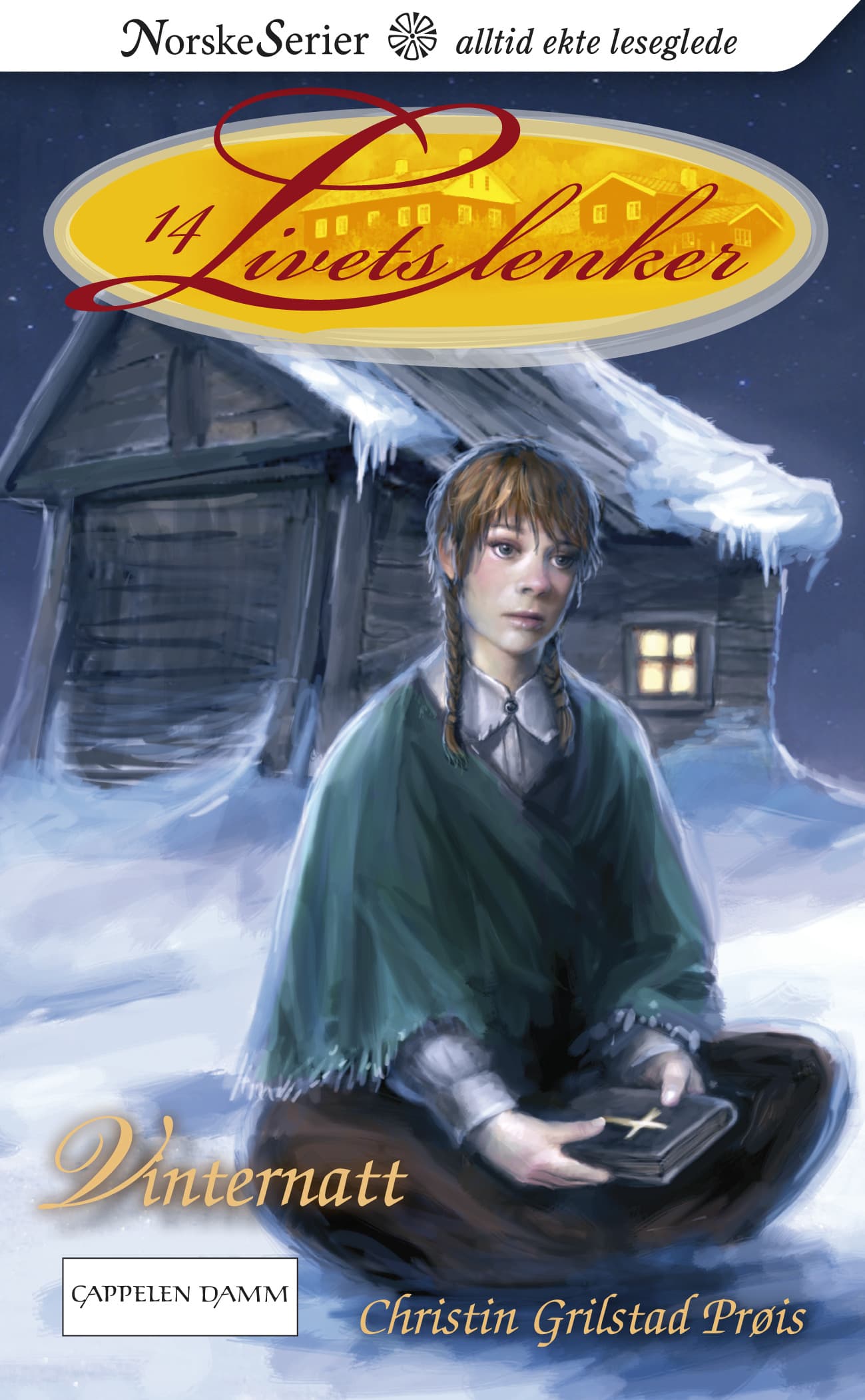 Omslag Vinternatt av Christin Grilstad Prøis (Ebok)