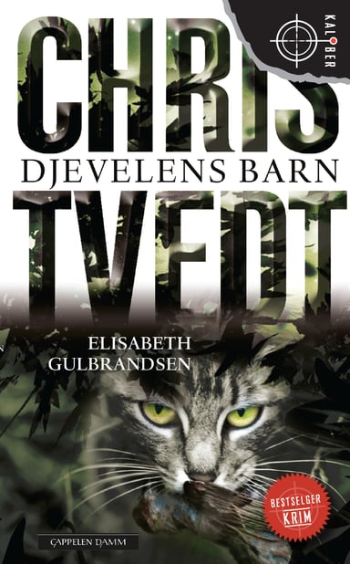 Omslag av "Djevelens barn"