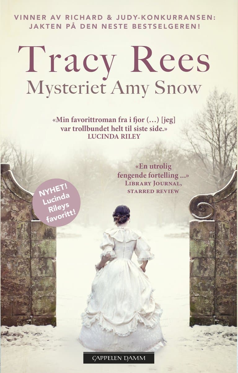 Omslag Mysteriet Amy Snow av Tracy Rees (Heftet)