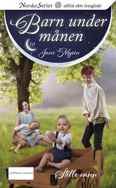 Omslag av "Stille vann"