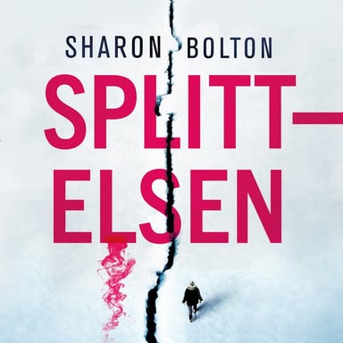 Omslag av "Splittelsen"