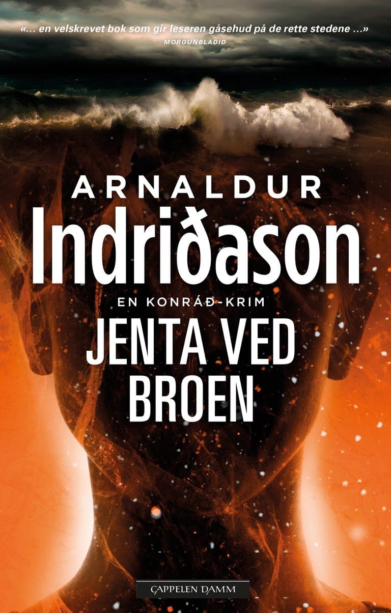 Omslag Jenta ved broen av Arnaldur Indridason (Innbundet)
