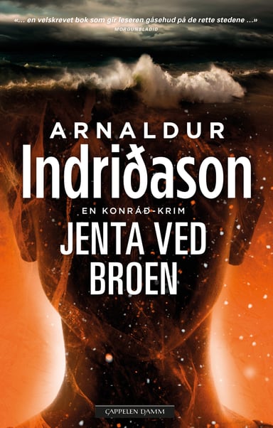 Omslag av "Jenta ved broen"