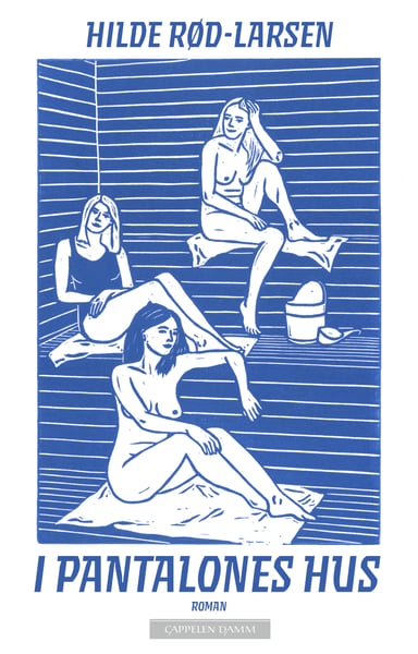 Omslag av "I Pantalones hus"
