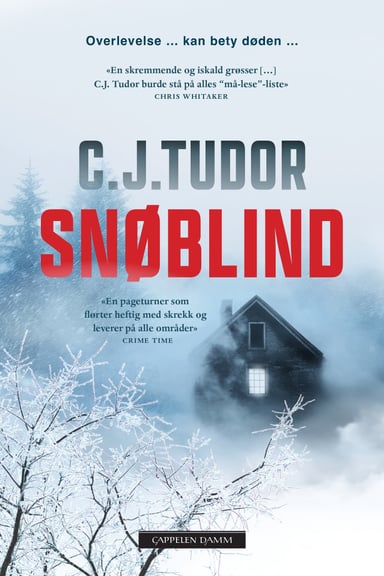 Omslag av "Snøblind"
