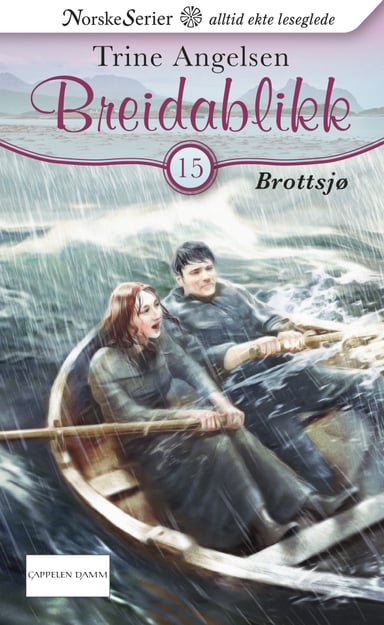 Omslag av "Brottsjø"