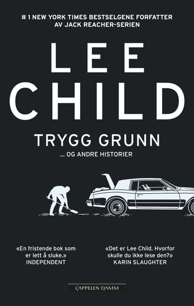 Trygg grunn