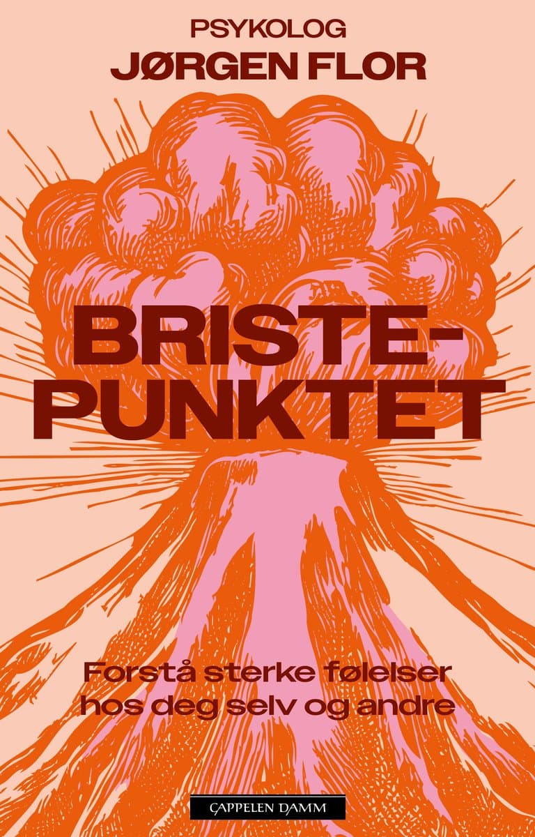 Omslag Bristepunktet av Jørgen Flor (Innbundet)
