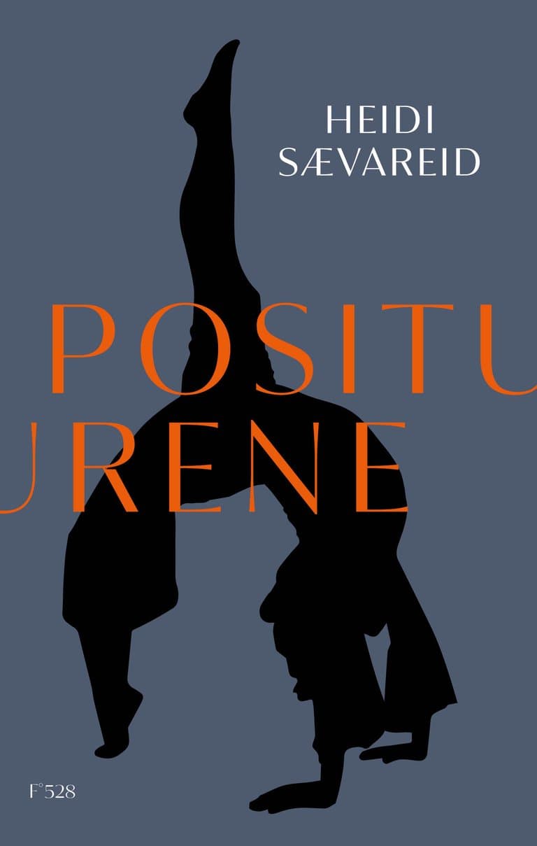 Omslag Positurene av Heidi Sævareid (Ebok)