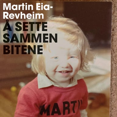 Omslag av "Å sette sammen bitene - Min historie om vold, skam og reparasjon"