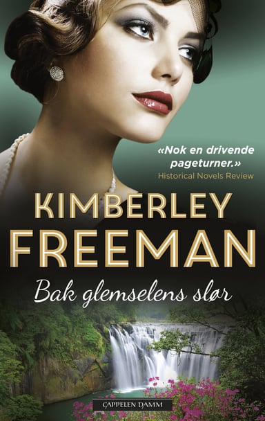 Omslag av "Bak glemselens slør"
