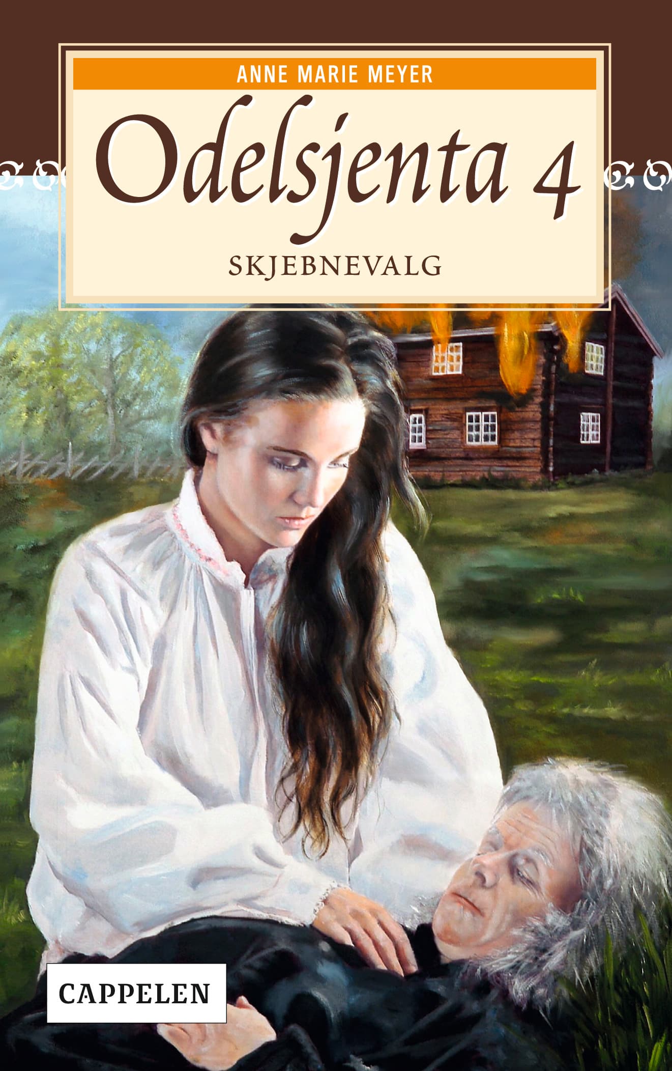 Omslag Skjebnevalg av Anne Marie Løvlie Meyer (Ebok)