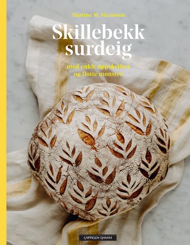 Omslag av "Skillebekk surdeig med enkle oppskrifter og flotte mønstre"