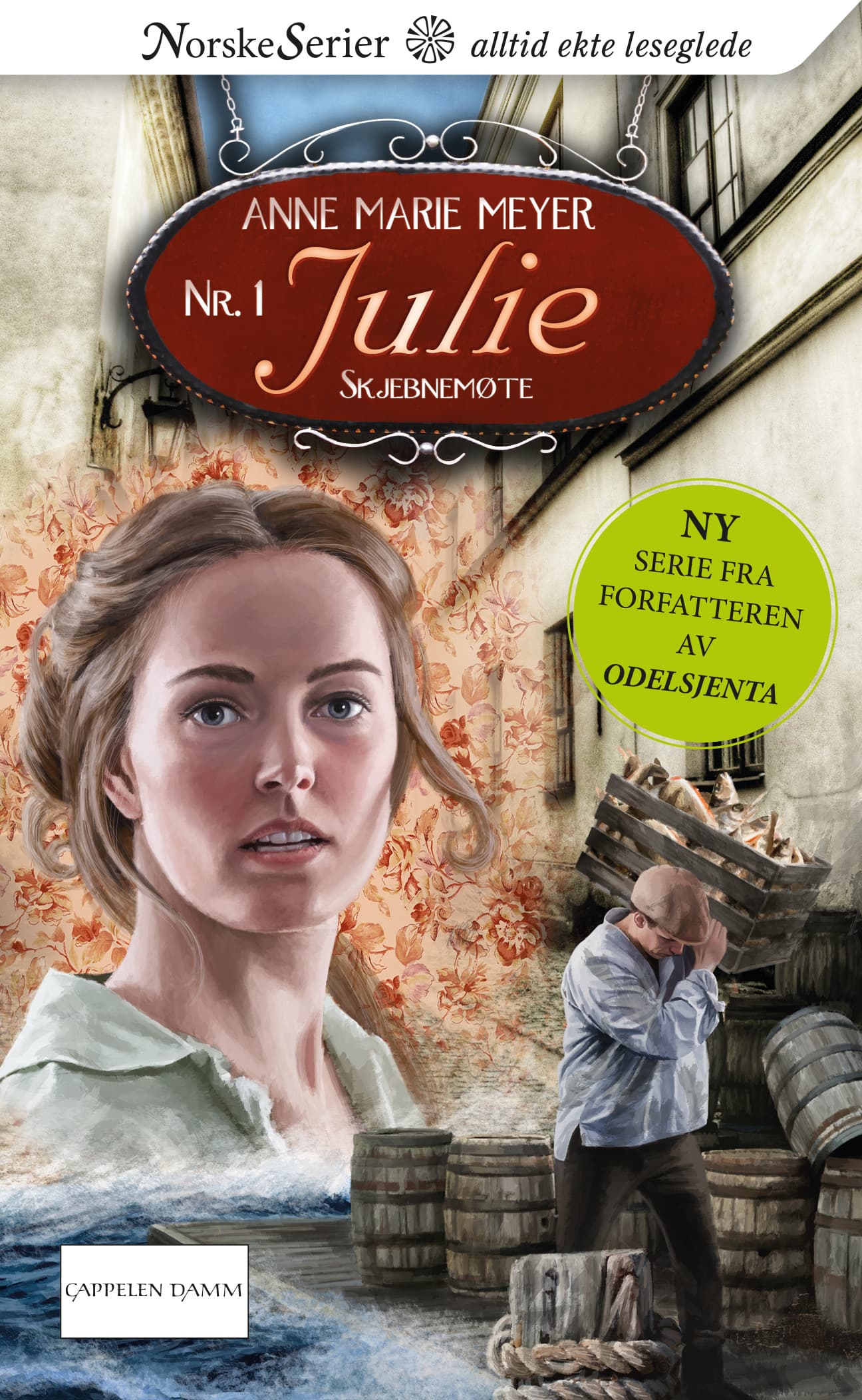 Omslag Skjebnemøte av Anne Marie Løvlie Meyer (Ebok)
