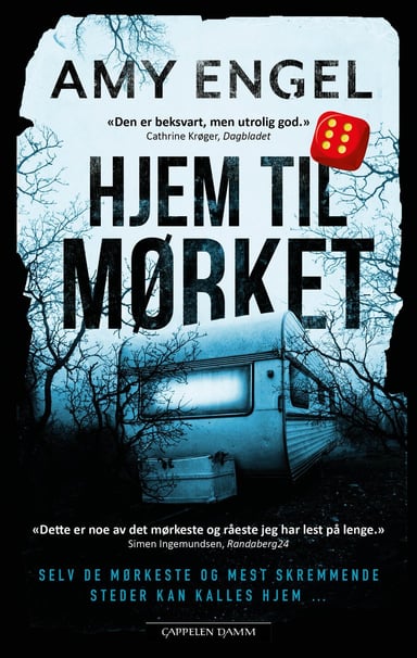 Omslag av "Hjem til mørket"