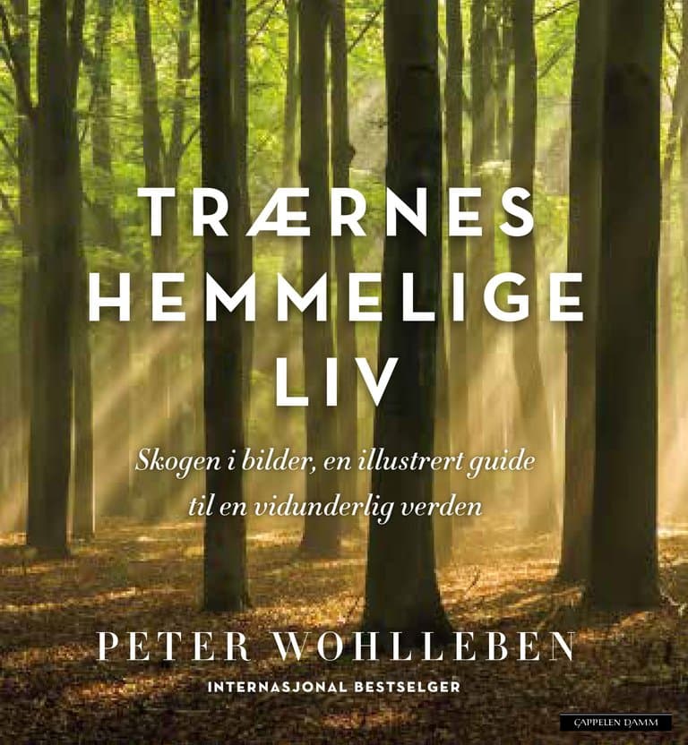 Omslag Trærnes hemmelige liv (Illustrert utgave) av Peter Wohlleben (Innbundet)