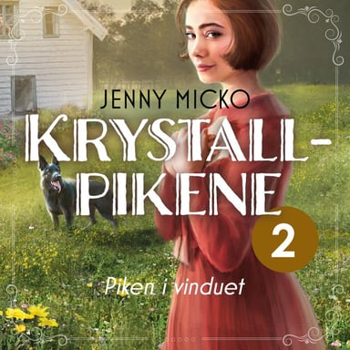 Omslag av "Piken i vinduet"