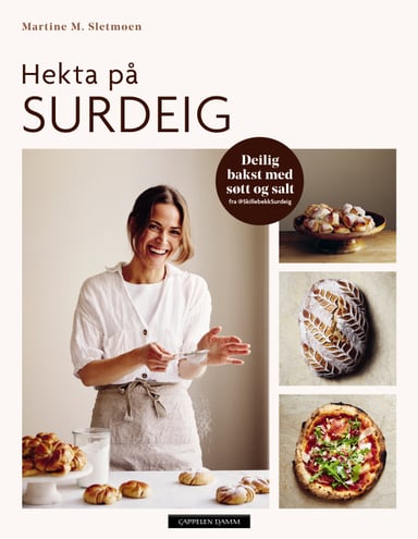 Omslag av "Hekta på surdeig"