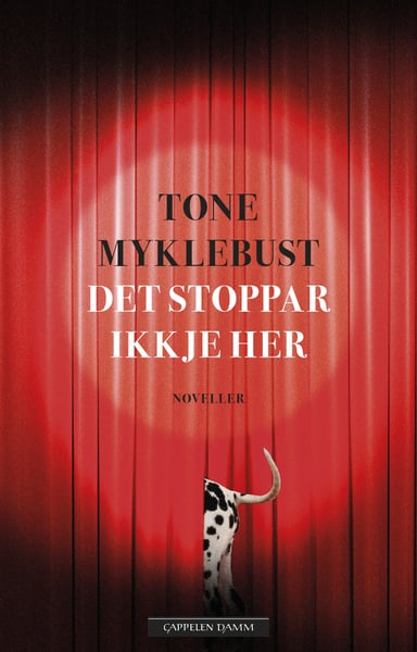 Omslag av "Det stoppar ikkje her"