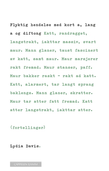 Omslag av "Flyktig hendelse med kort a, lang a og diftong"