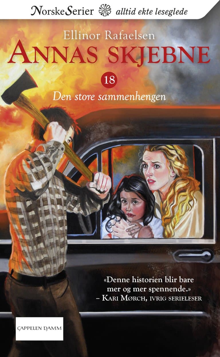 Omslag Den store sammenhengen av Ellinor Rafaelsen (Ebok)