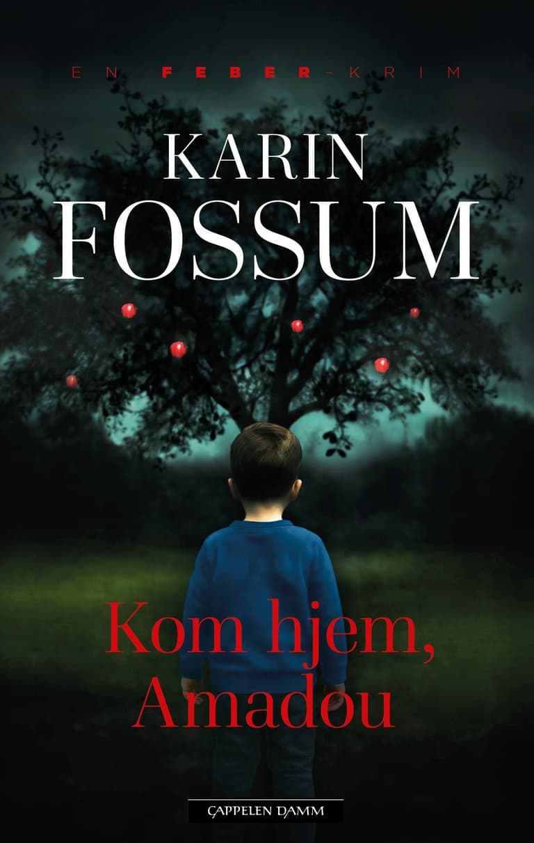 Omslag Kom hjem, Amadou av Karin Fossum (Ebok)