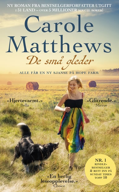 Omslag av "De små gleder"