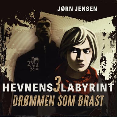 Drømmen som brast