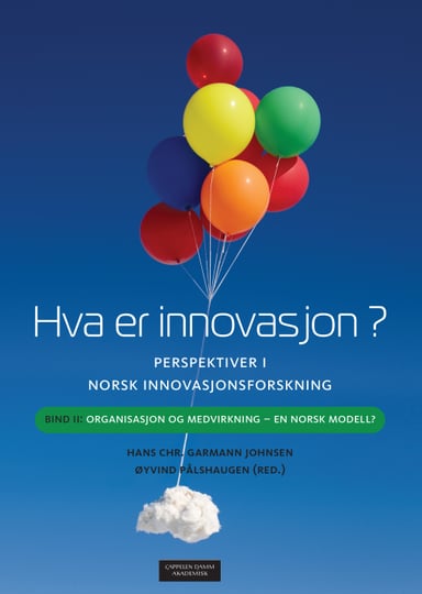 Omslag av "Hva er innovasjon? Perspektiver i norsk innovasjonsforskning"