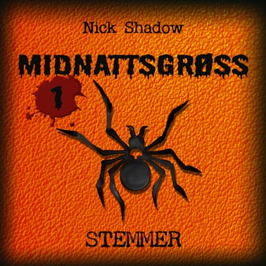 Omslag av "Stemmer"