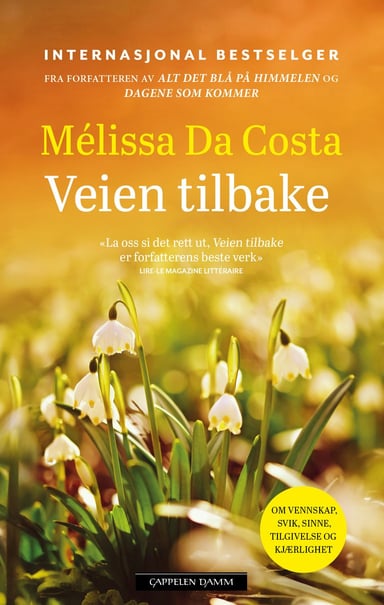 Omslag av "Veien tilbake"