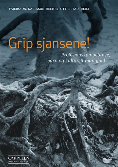 Omslag av "Grip sjansene!"