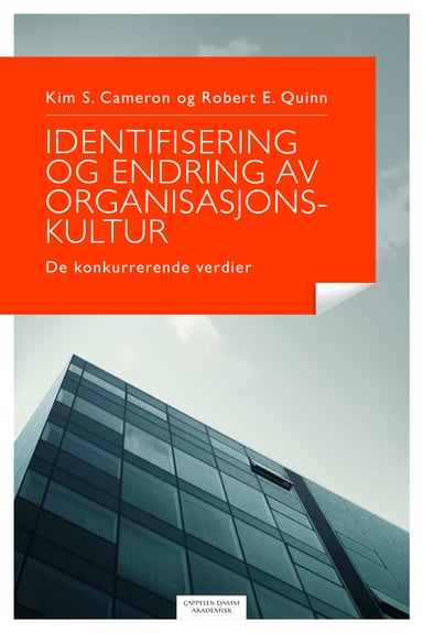 Omslag av "Identifisering og endring av organisasjonskultur"