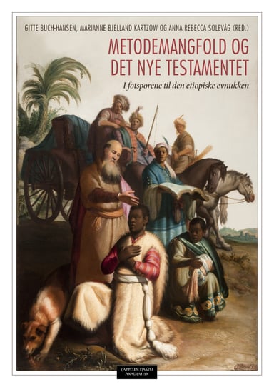 Omslag av "Metodemangfold og Det nye testamentet"