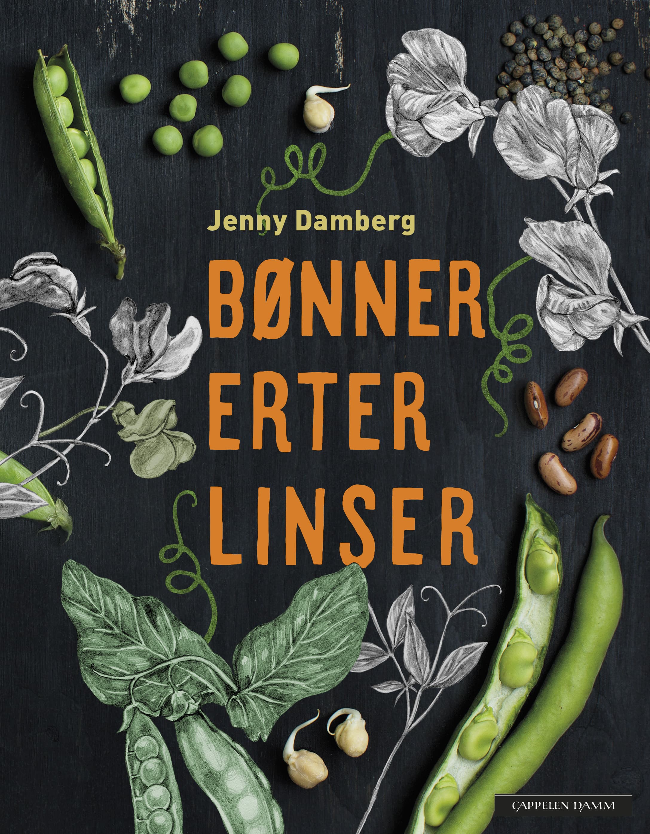 Omslag Bønner, erter og linser av Jenny Damberg (Innbundet)