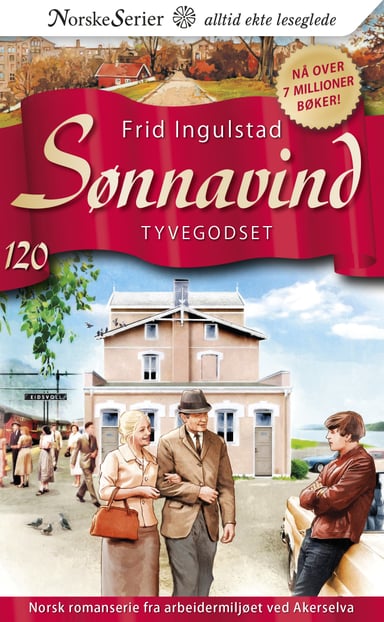 Omslag av "Tyvegodset"
