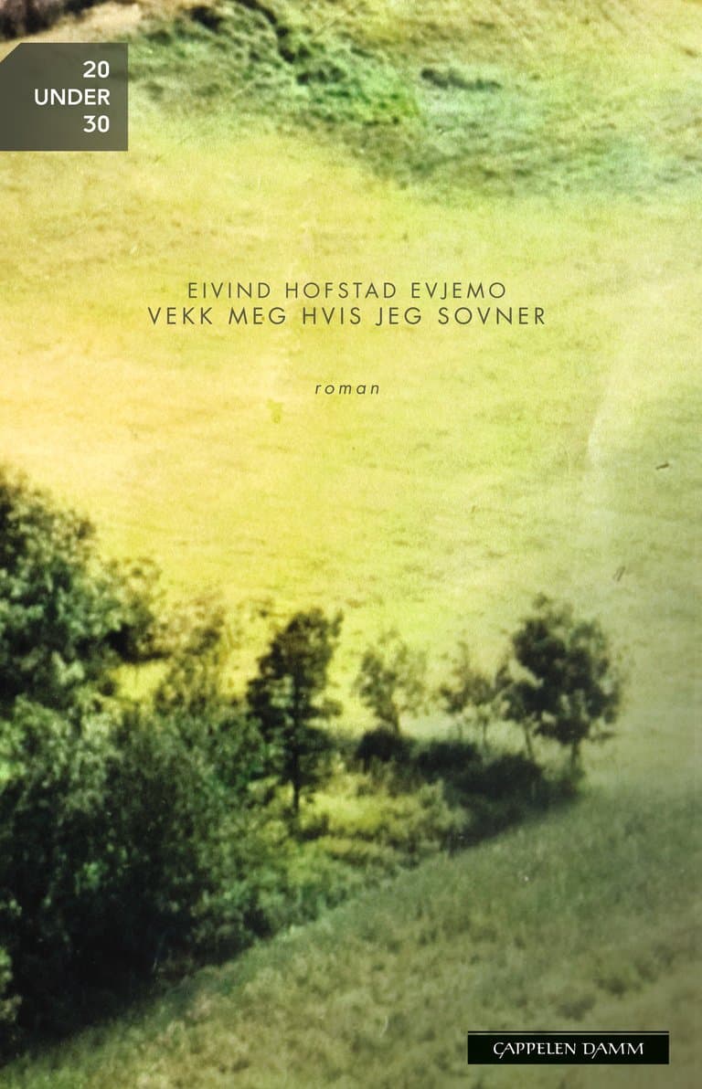 Omslag Vekk meg hvis jeg sovner av Eivind Hofstad Evjemo (Innbundet)