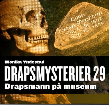Omslag av "Drapsmann på museum"