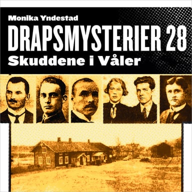 Omslag av "Skuddene i Våler"
