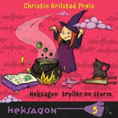 Omslag av "Heksagon tryller en storm"