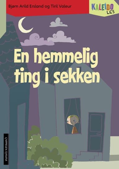 Omslag av "Kaleido Les Nivå 4 En hemmelig ting i sekken"