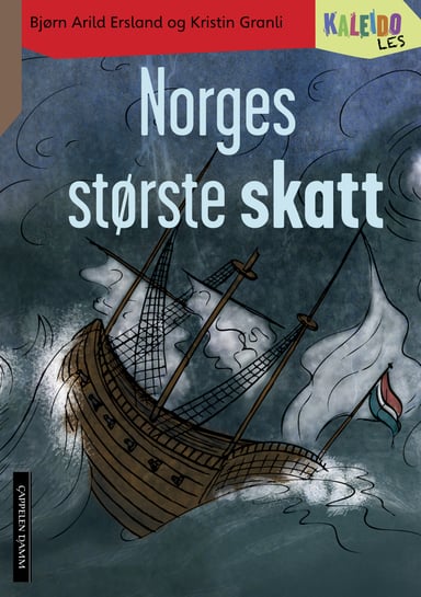Omslag av "Kaleido Les Nivå 4 Norges største skatt"