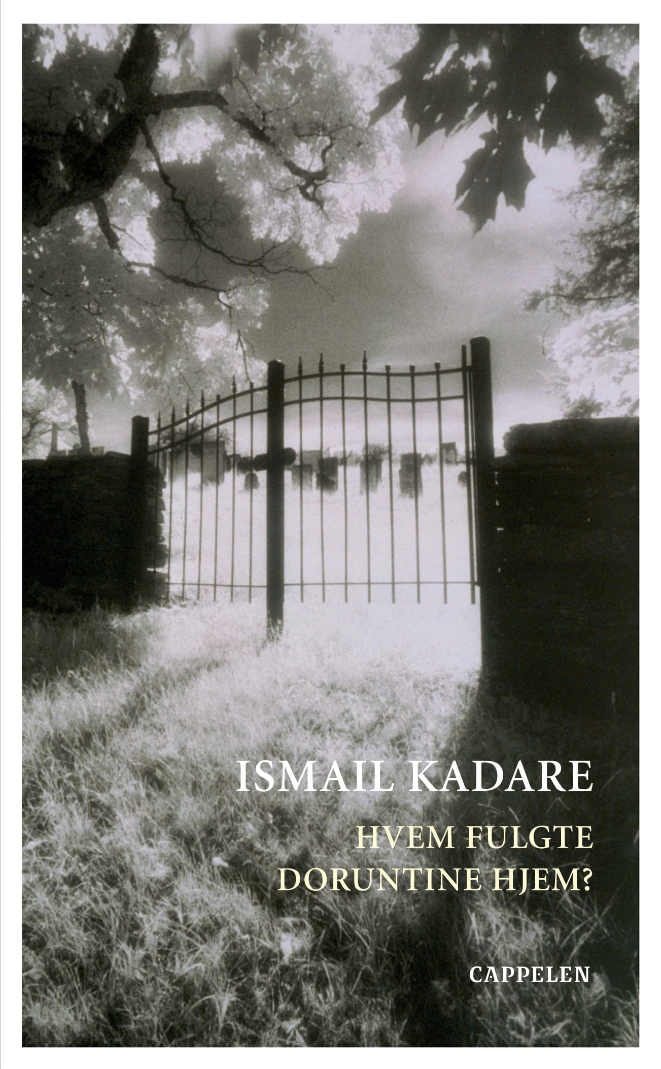 Omslag Hvem fulgte Doruntine hjem? av Ismail Kadare (Heftet)