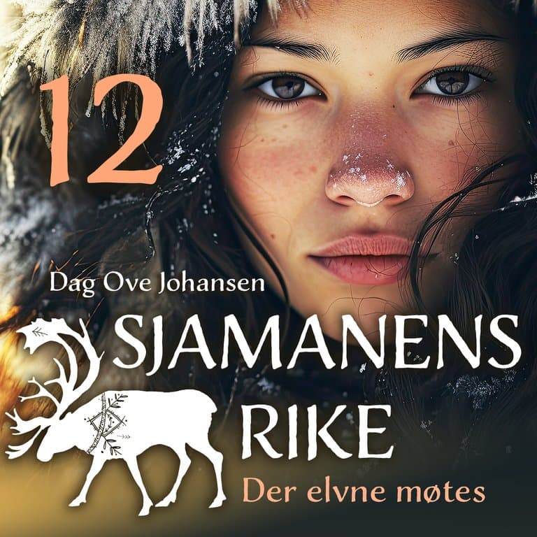 Omslag Der elvene møtes av Dag Ove Johansen (Lydbok)