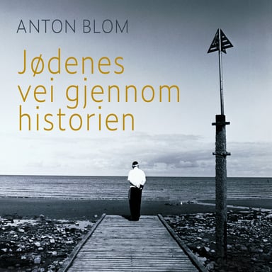 Omslag av "Jødenes vei gjennom historien"