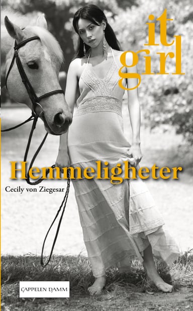 Omslag av "Hemmeligheter"