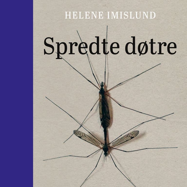 Omslag Spredte døtre av Helene Imislund (Lydbok)