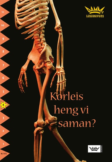 Omslag av "Damms leseunivers 1: Korleis heng vi saman?"