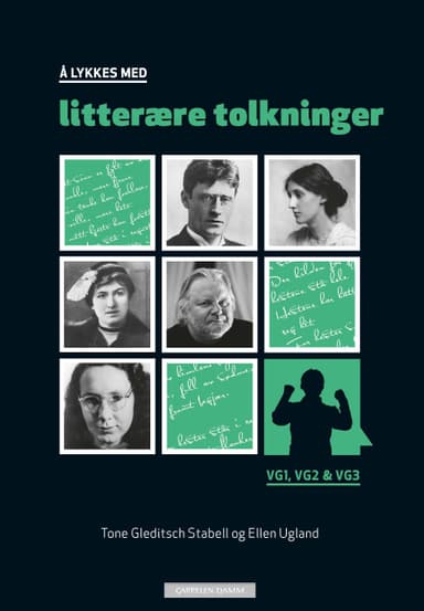 Å lykkes med litterære tolkninger (2014)